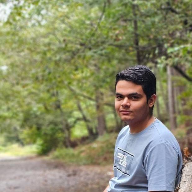 محمدپارسا شاه‌محمدی